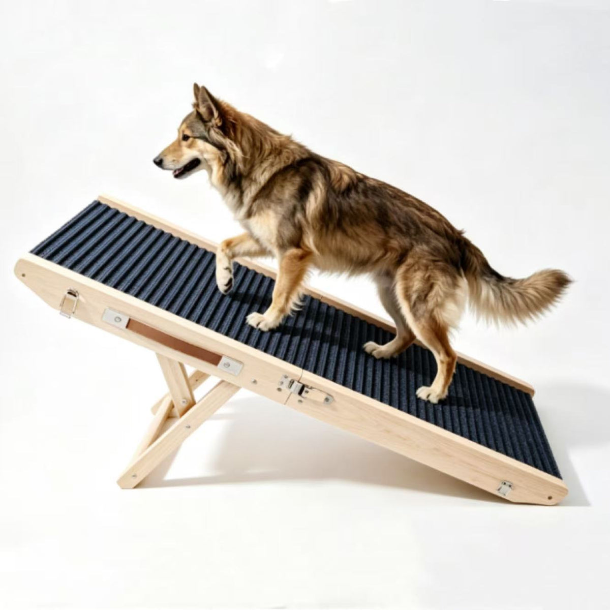 Why a Solid Wood Pet Ramp Gives Small and Senior Dogs the Whole House Back