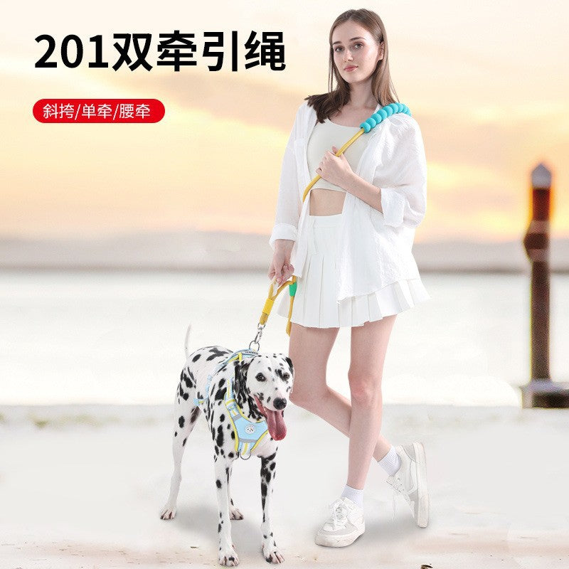 Why a Double Dog Leash Ends the Tangled Walk