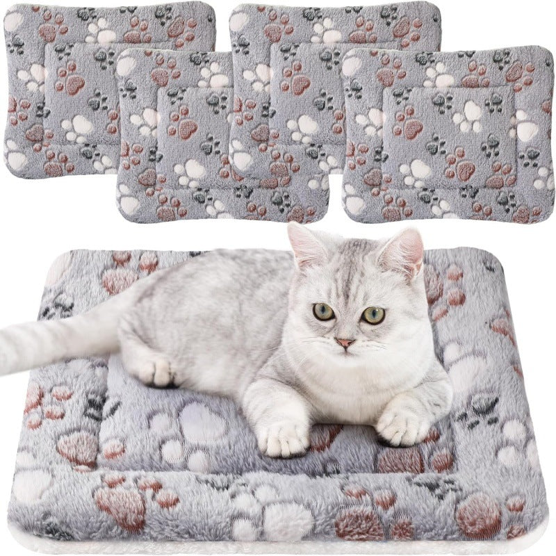 Why a Wool Pet Mattress Suits Cats, Dogs, and Small Pets
