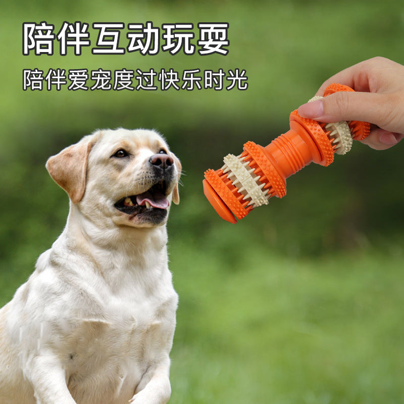 Why a Dumbbell-Shaped Food-Hiding Toy Earns Its Keep