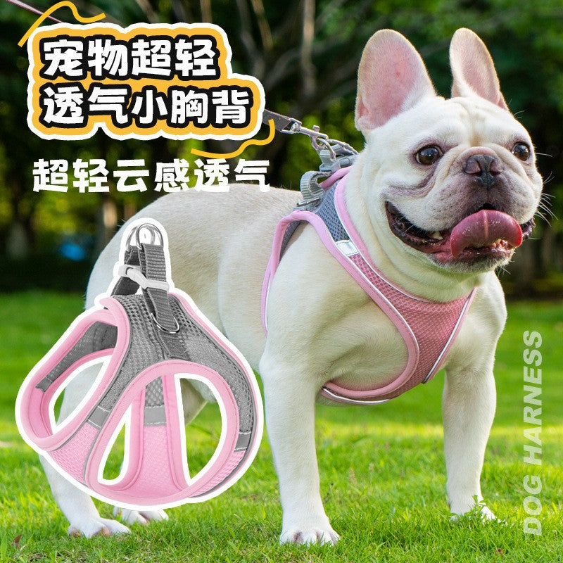Why a Mesh Dog Harness Takes the Strain Off Every Walk
