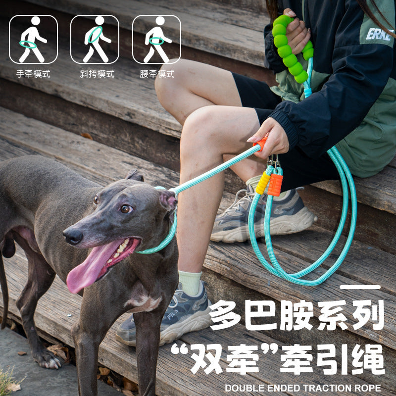 Why a Double-Headed Dog Leash Simplifies Multi-Dog Walks