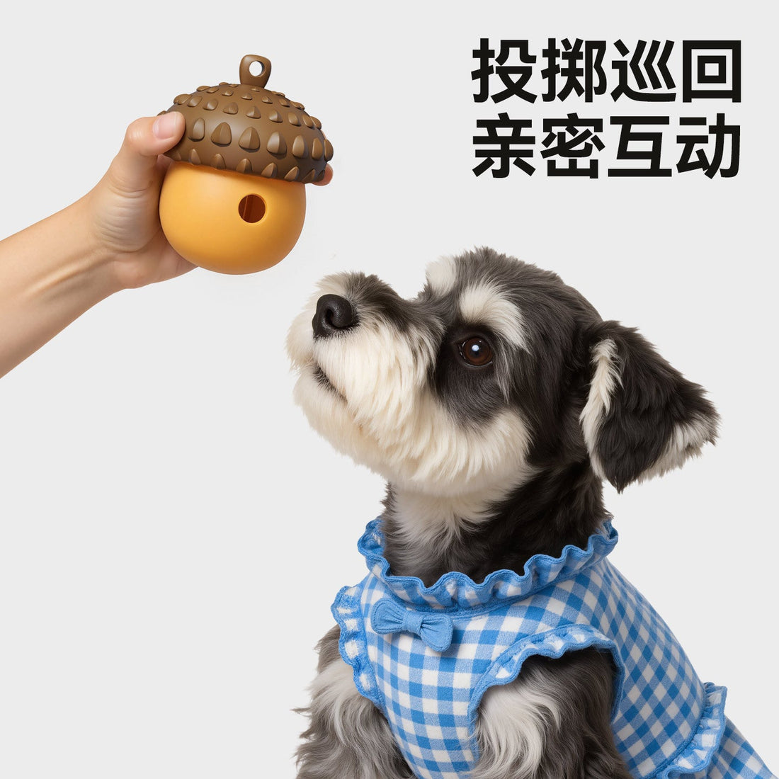 Why a Treat Chew Toy Earns Its Keep