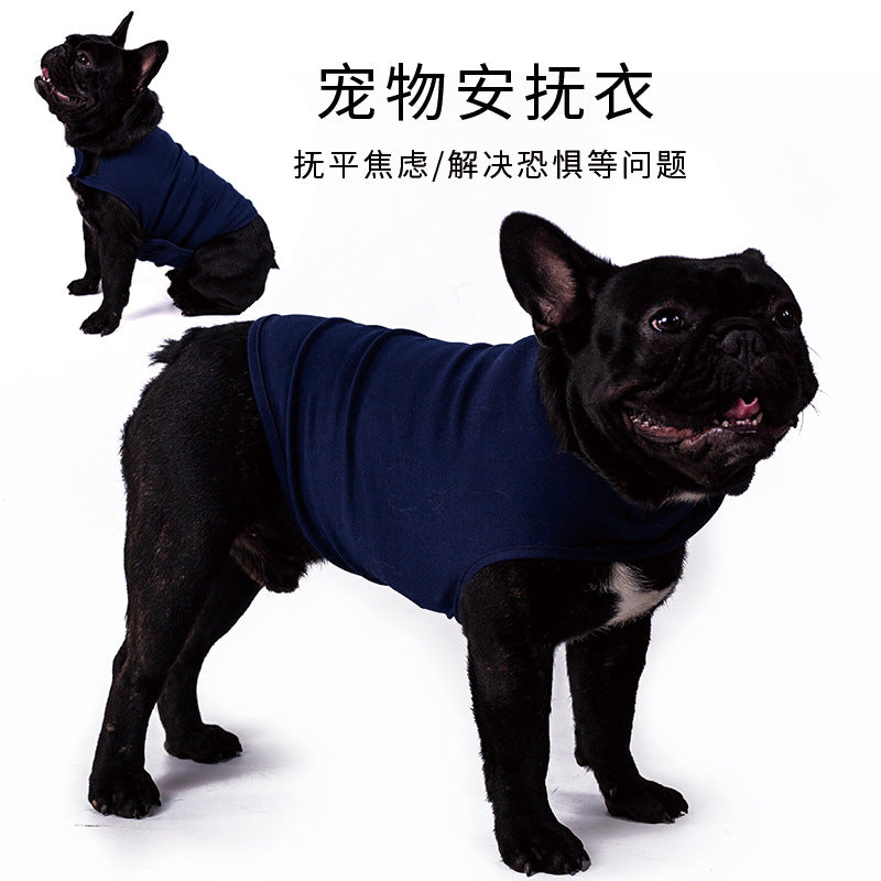 Why a Dog Anxiety Jacket Turns Stormy Days into Nap Time