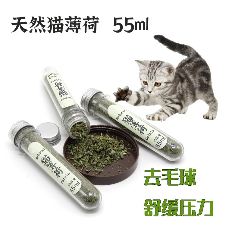 Why Catnip and Cat Grass Settle the Hairball Season