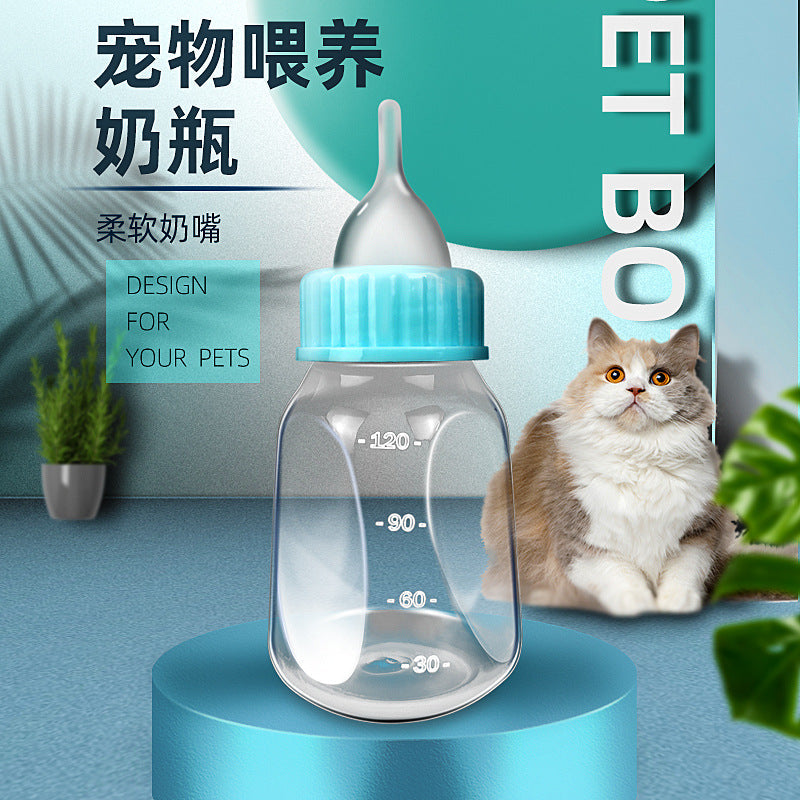 Why a Kitten Feeding Bottle Saves a Newborn Litter