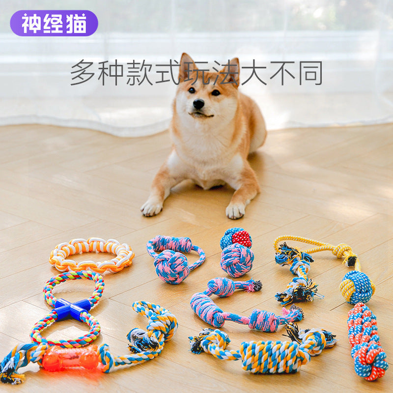 Why a Rope Toy Set Beats One Single Chew