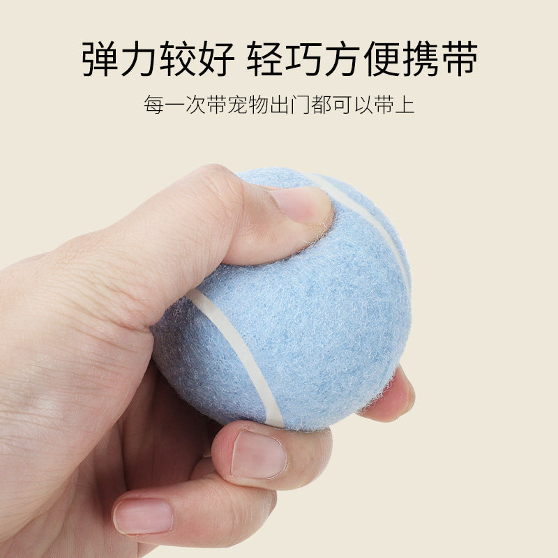 Why an Elastic Felt Training Ball Is the Self-Play Answer for Busy Owners