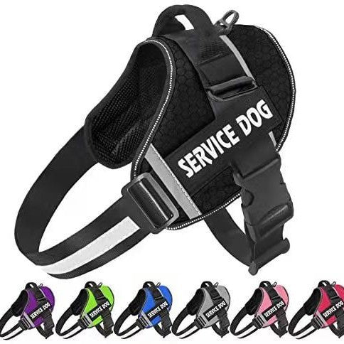 Why a Tactical Service Harness Sharpens Every Training Session
