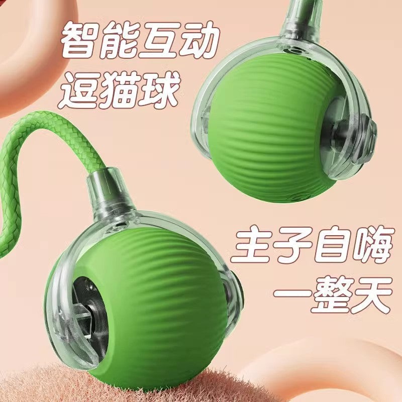 Why an Automatic Cat Teaser Ball Ends Boredom for Good