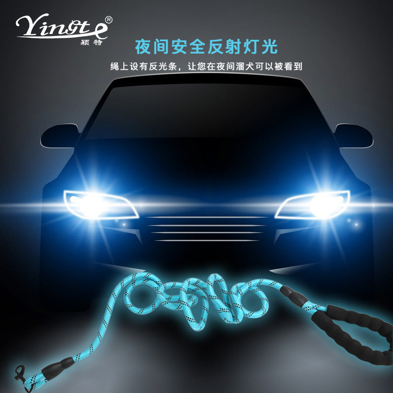 Why This Reflective Rope Leash Makes Evening Walks Safer