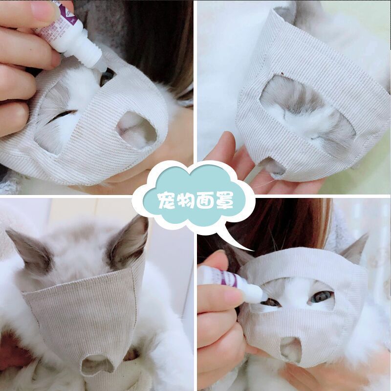 Why a Calming Cat Mask Makes Grooming Days Bite-Free