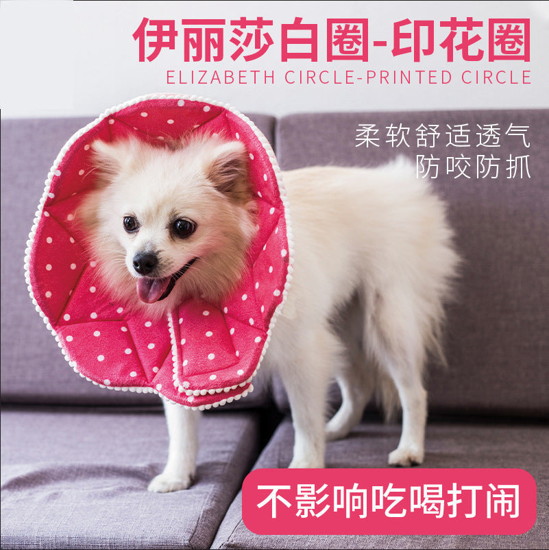 Why a Soft Fabric Elizabethan Collar Is Kinder Than the Plastic Cone