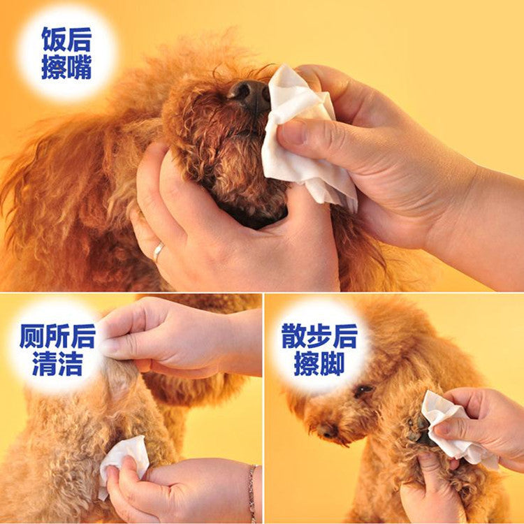 Why Pet Wipes Make Everyday Cleanup Effortless