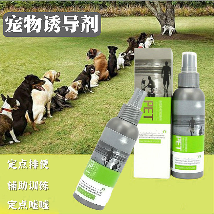 Why a Potty Training Attractant Spray Shortens the Learning Curve
