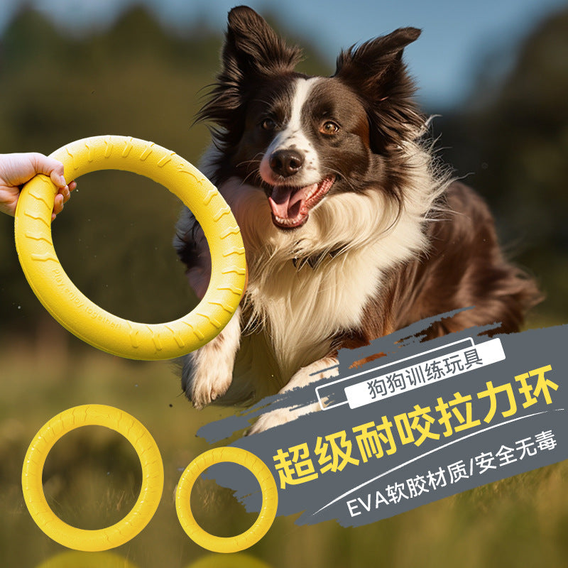 Why an Interactive Pull-Ring Toy Is the Workout Your Dog Craves