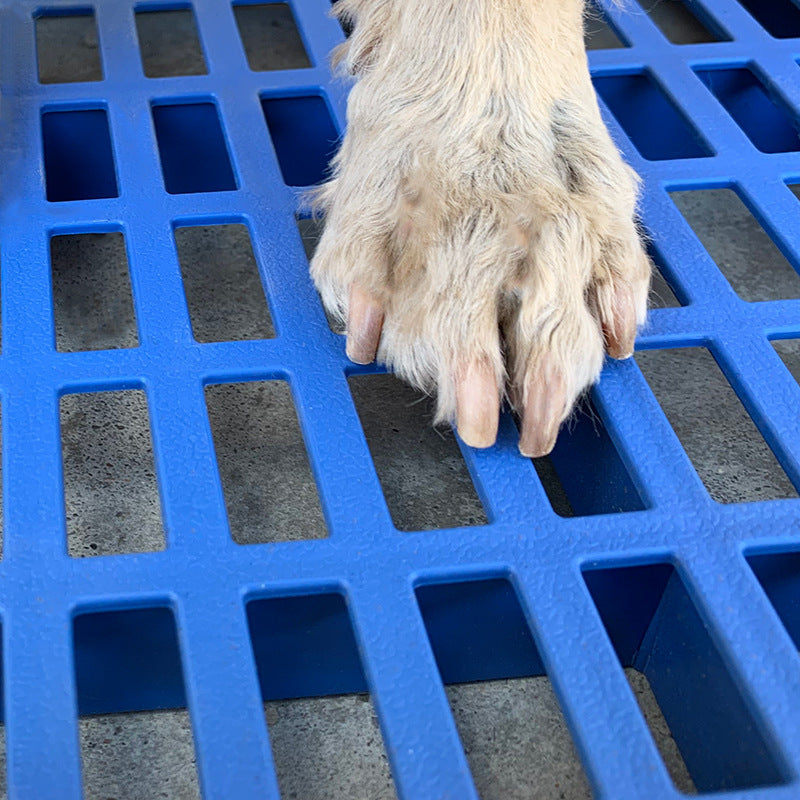 Why a Cage Foot Grid Keeps Hutches Fresh