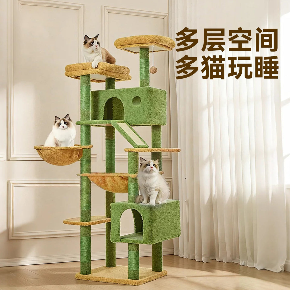 Why a Space-Saving Cat Climbing Frame Wins Hearts