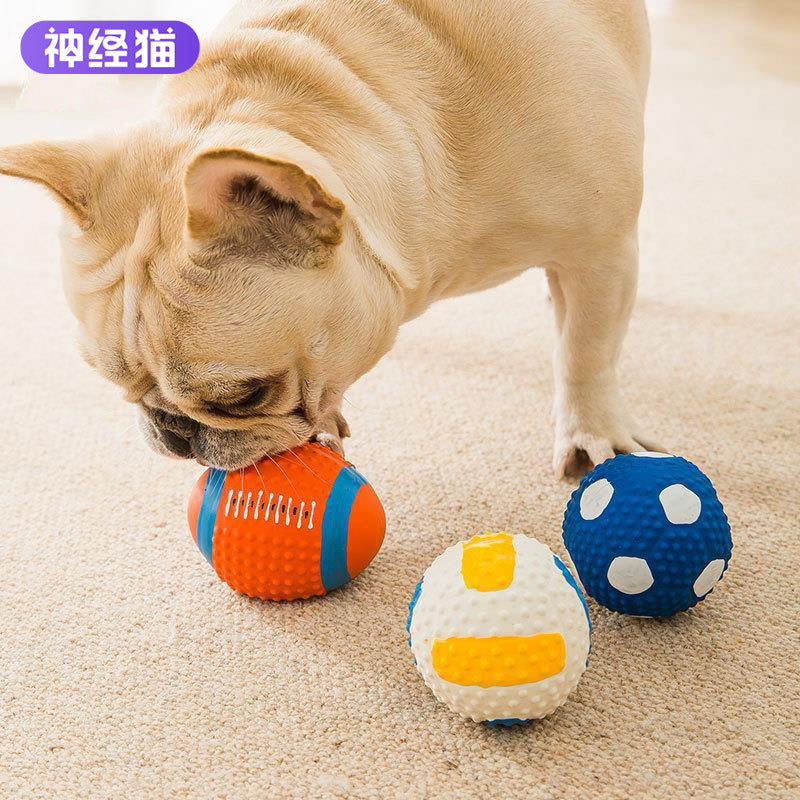 Why a Latex Rugby Ball Is the Perfect First Toy for Small Dogs