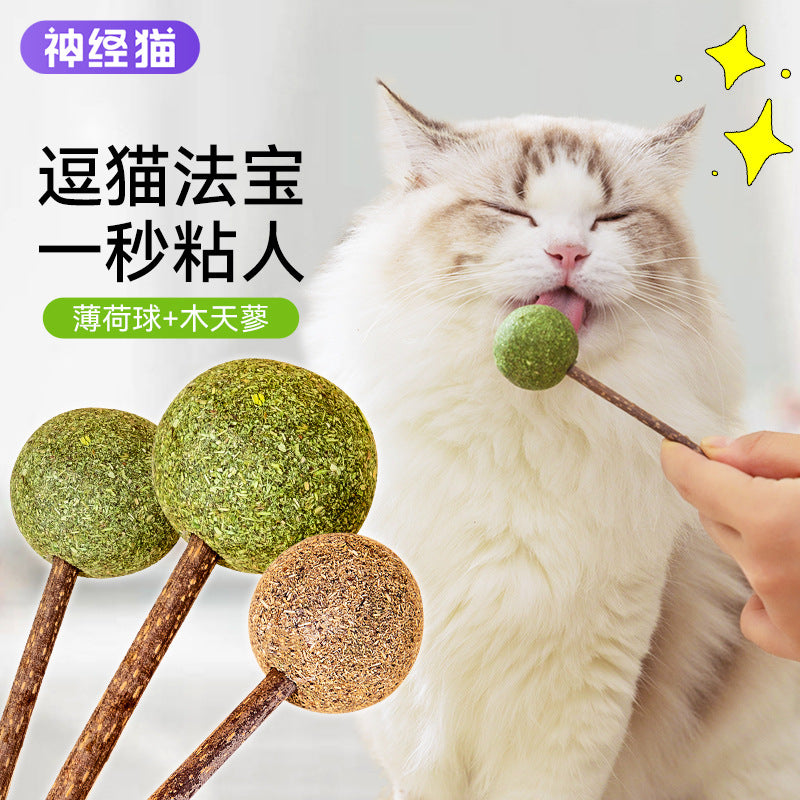 Why a Matatabi Lick Stick Calms Anxious Cats