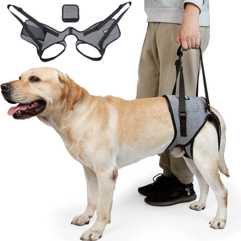 Why a Rear-Leg Support Sling Helps Senior Dogs Walk with Confidence