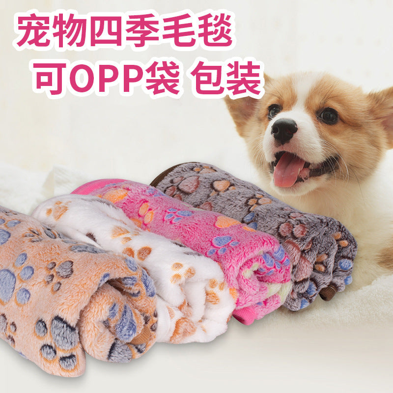 Why a Coral Fleece Pet Blanket Belongs on Your Sofa