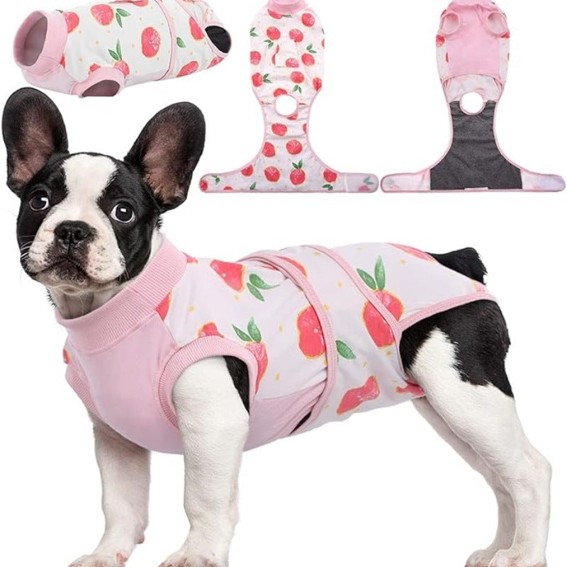 Why a Dog Recovery Suit Beats the Plastic Cone