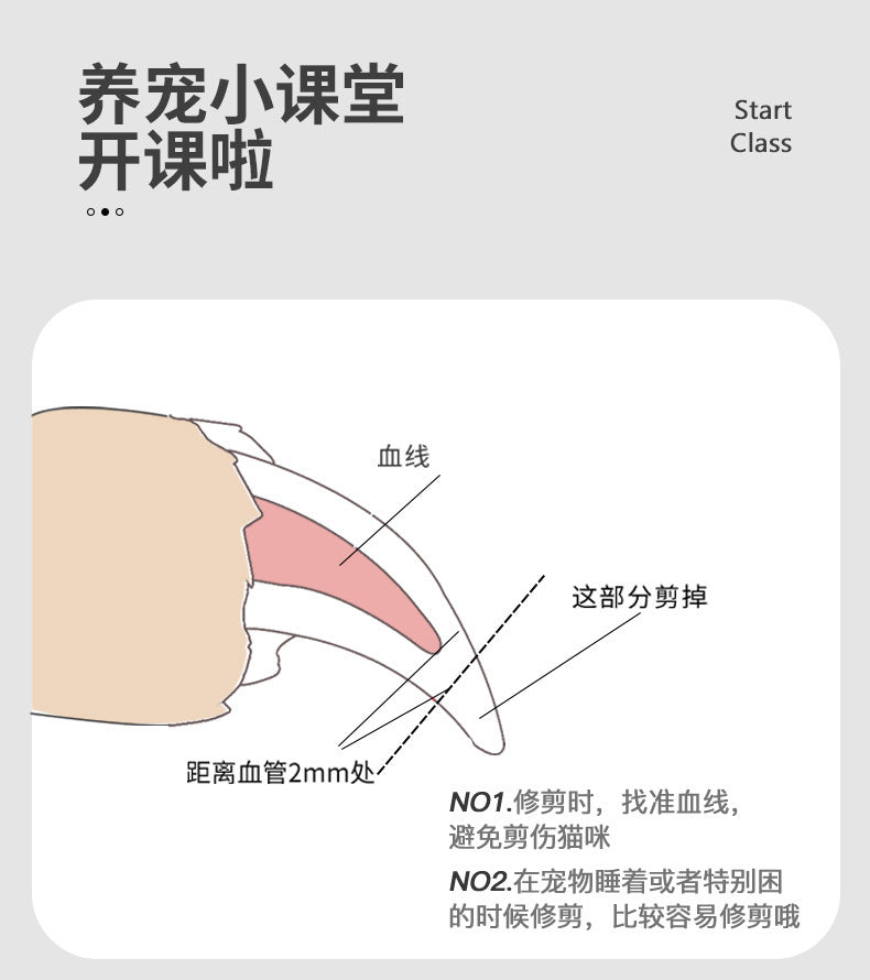56b5a701-936a-4794-8d5d-aa184a338f87