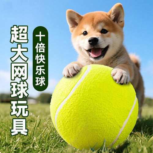 bc086d9b-e762-4354-96d2-8560154b7c7c
