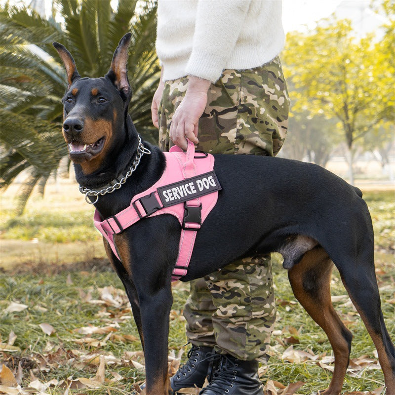 18658c83-695d-4a7f-bdc5-5851b4f69b91