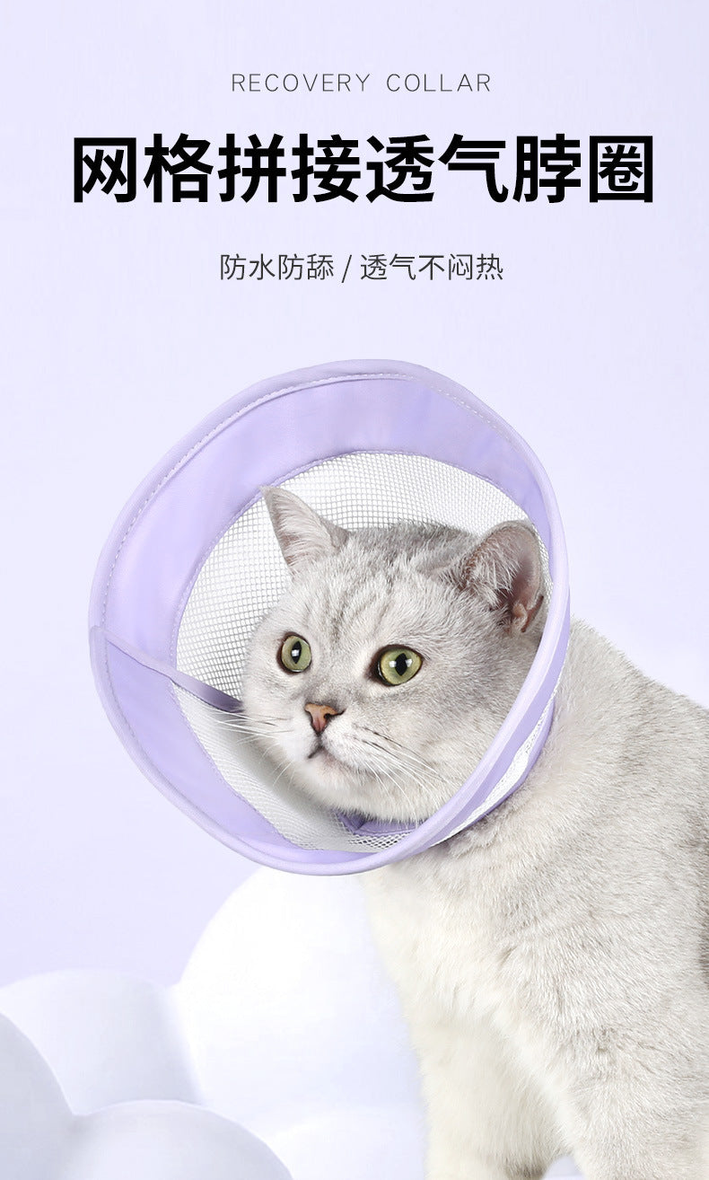 5205a005-3d40-493a-aa85-bc9833764d1a