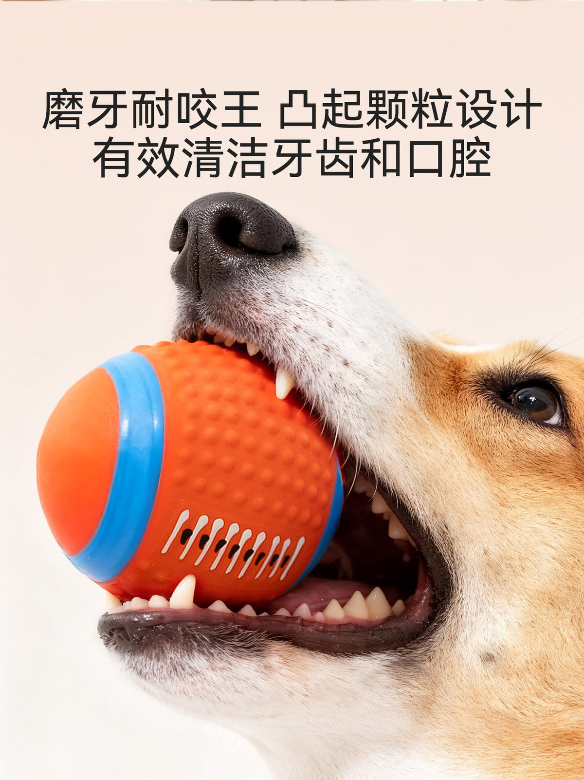 86d70a49-a80e-4752-88b2-a6c65af380c0
