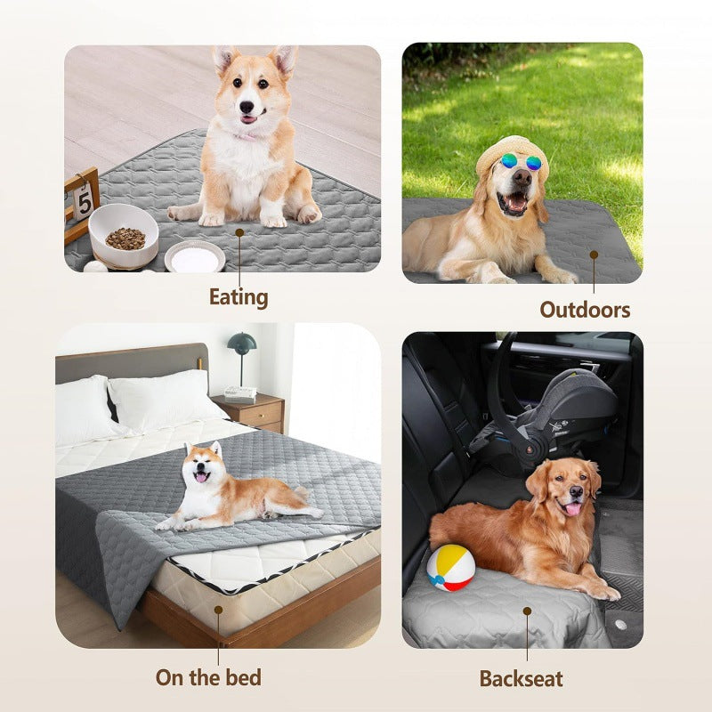 aadabe13-12cd-45f7-8b79-450c13fb40a1