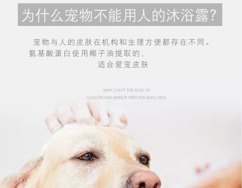 780648e2-2d12-4a9f-b722-a4b87cc62f6c