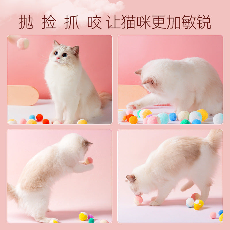 ed5094d3-0f6e-443a-9cd2-f34f4b891964