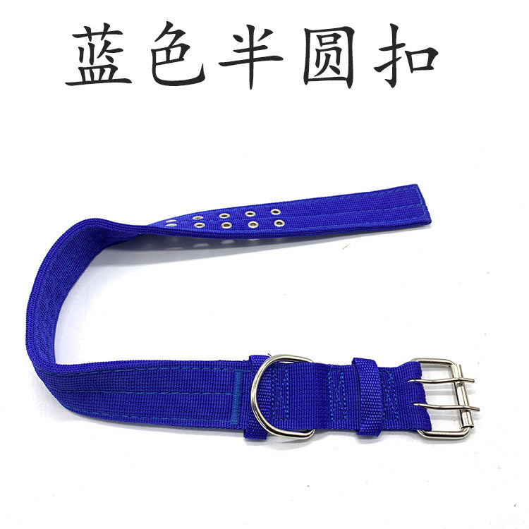 11601948-8090-4d34-a576-2a84ca5f5fbf