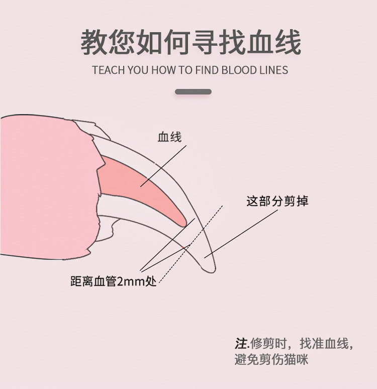 a50b209e-c80b-40a9-a812-1742bcbe4612