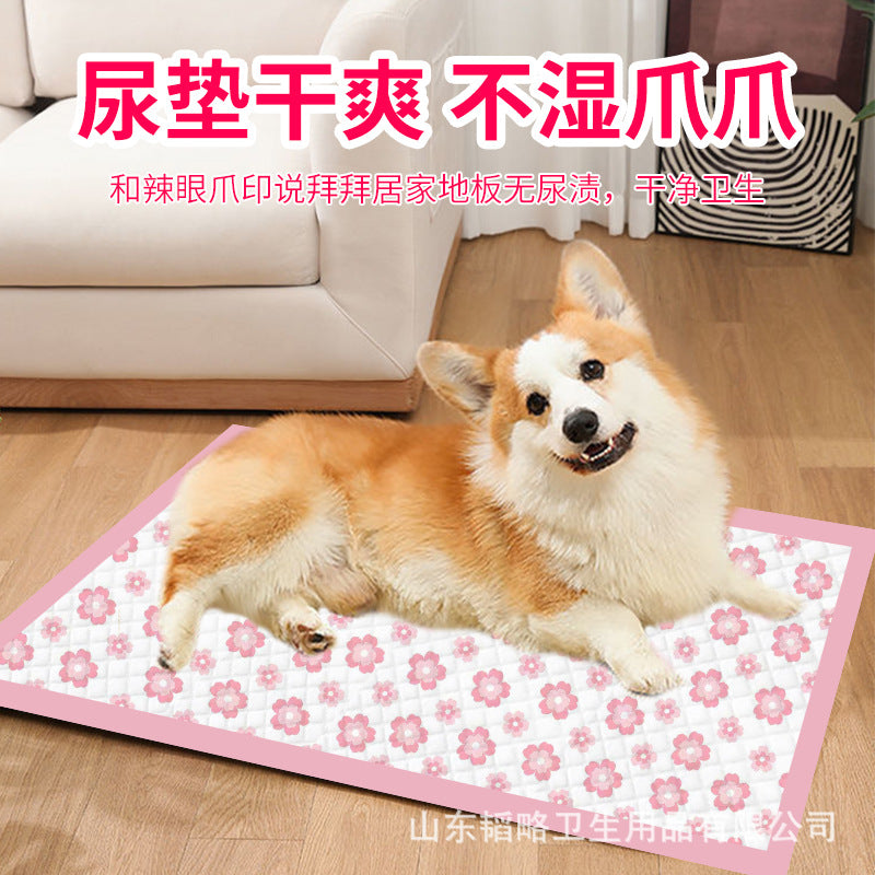 bc1b93a6-6f17-4b9b-b24e-7833ac40573c