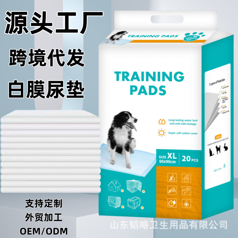 c810ff86-0da1-48d4-9fdc-fcf60cb62ffb