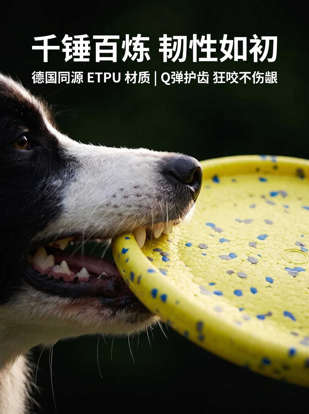 130befe0-f6ae-4568-af51-2e787759ae4b