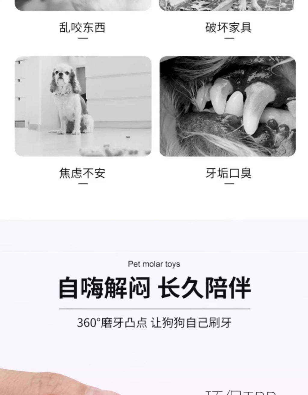 51bb82ec-98bd-4483-887a-f0da7a8893fe