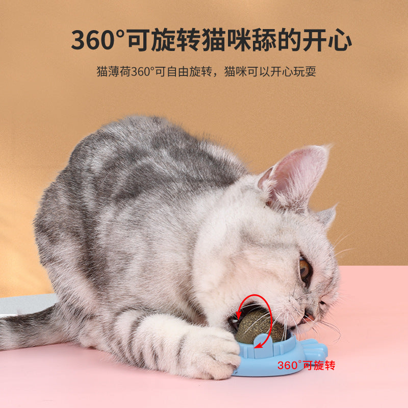 10ae33ee-c4e8-4c2d-acb0-d5d42ce8e53c