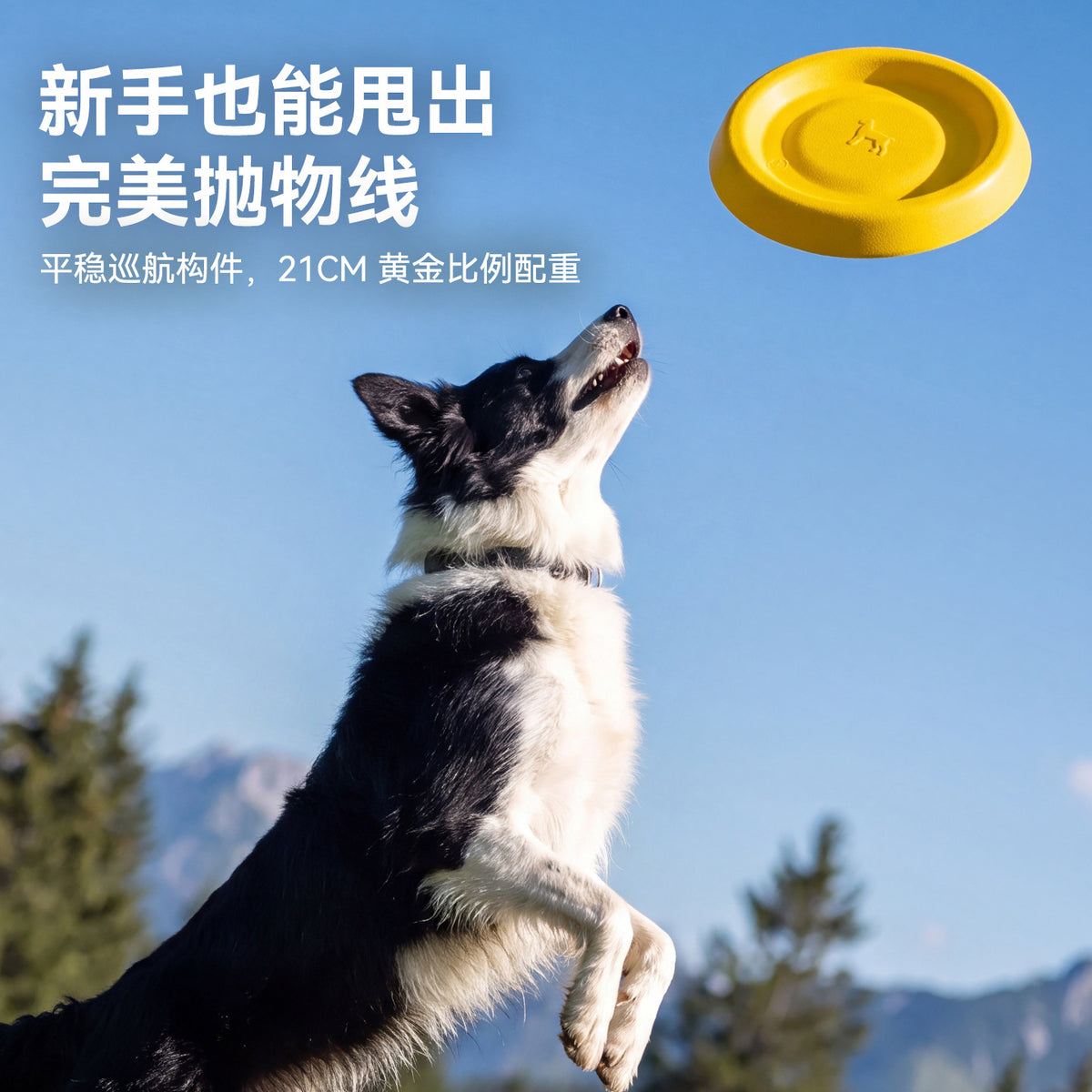 725e51da-aba4-45a0-bd19-bd1ddeb456ad