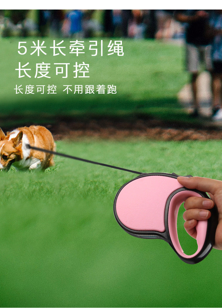 df48862b-b7a9-48b8-a22a-ea6a95e8fc2e
