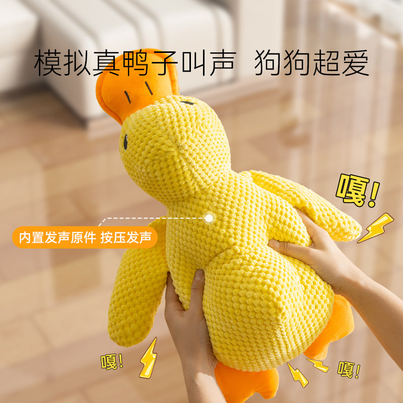 b0be1228-2144-4875-b5ba-b30b81af974b
