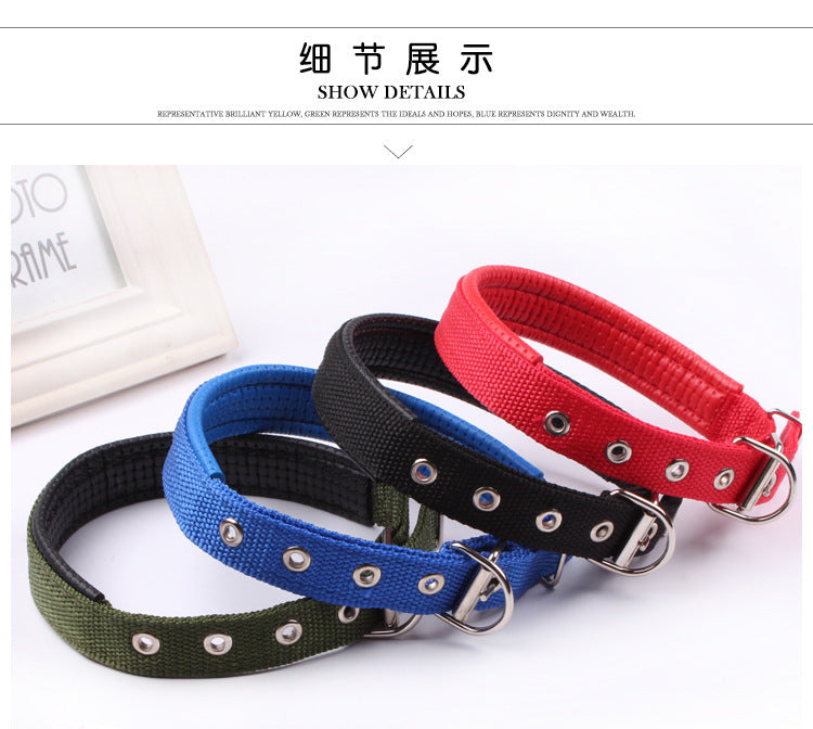 2e17aed4-230c-4458-850a-7e56839dc4a8