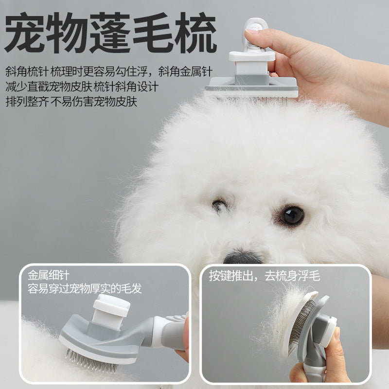 71cf8767-1747-43a1-9136-867fd58e4815