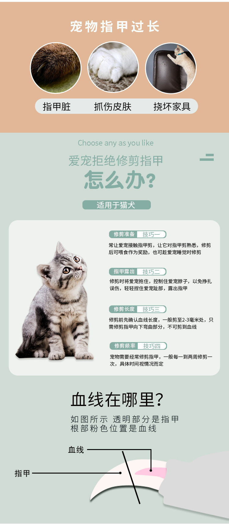 43897b77-c0d4-426b-8eda-818d6a588294