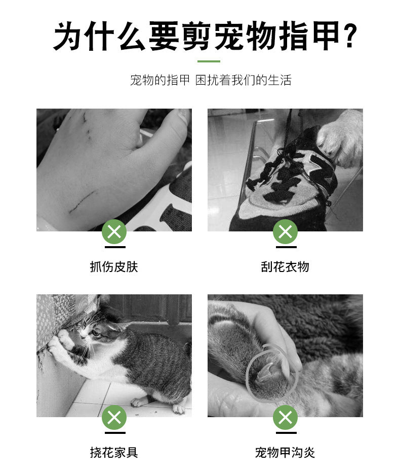 bd54232e-adc7-4e61-a76b-c86081745ffd