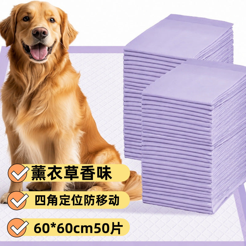bcf273ba-2401-481e-84b9-aedc5e3678b3